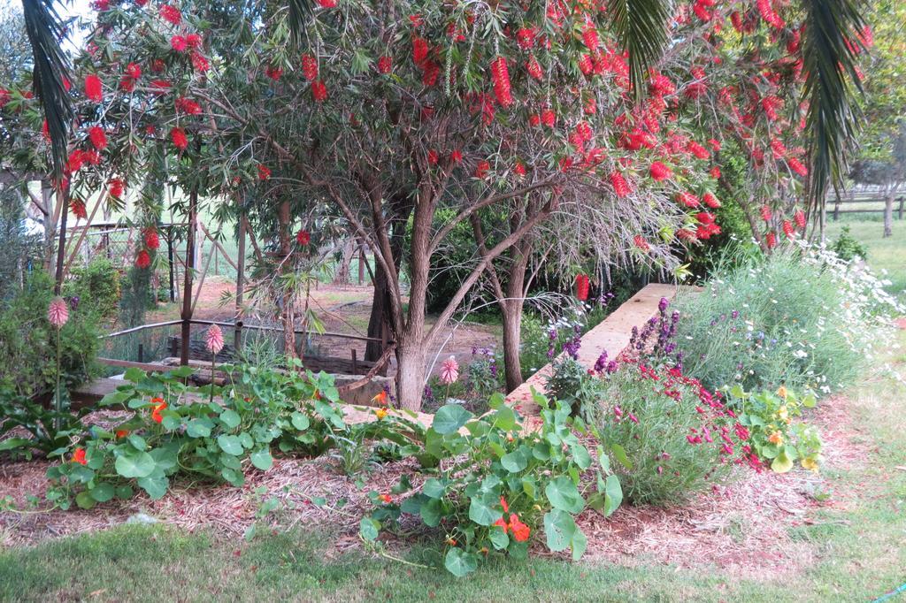 Bentwood Olive Grove Accommodation Greenough Cameră foto