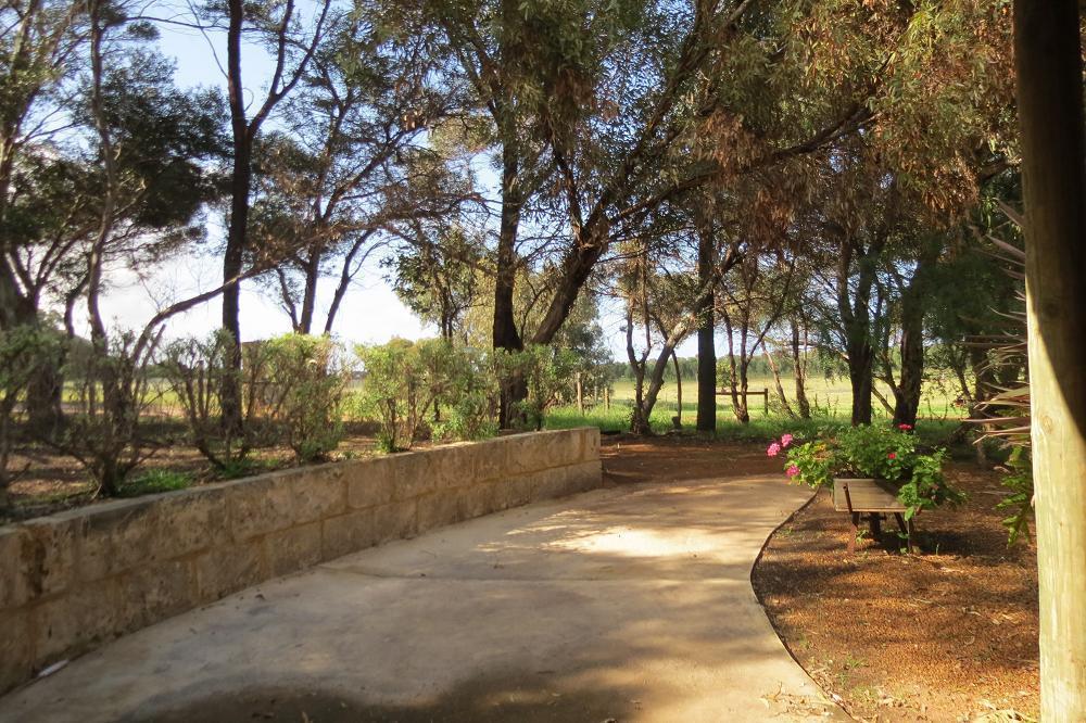 Bentwood Olive Grove Accommodation Greenough Exterior foto